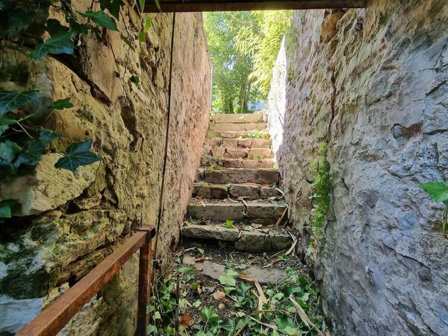 Elegance Provinoise Aux Pieds Des Remparts Classe 普罗万 外观 照片
